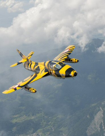 J-4206 Tiger